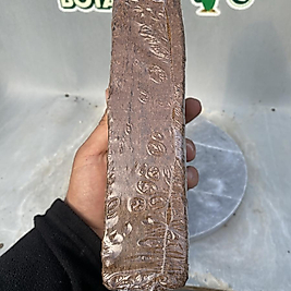 Cocopeat Blok 10Litre