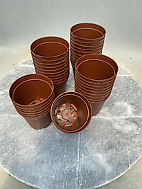 5,5cm üretim saksısı 10adet