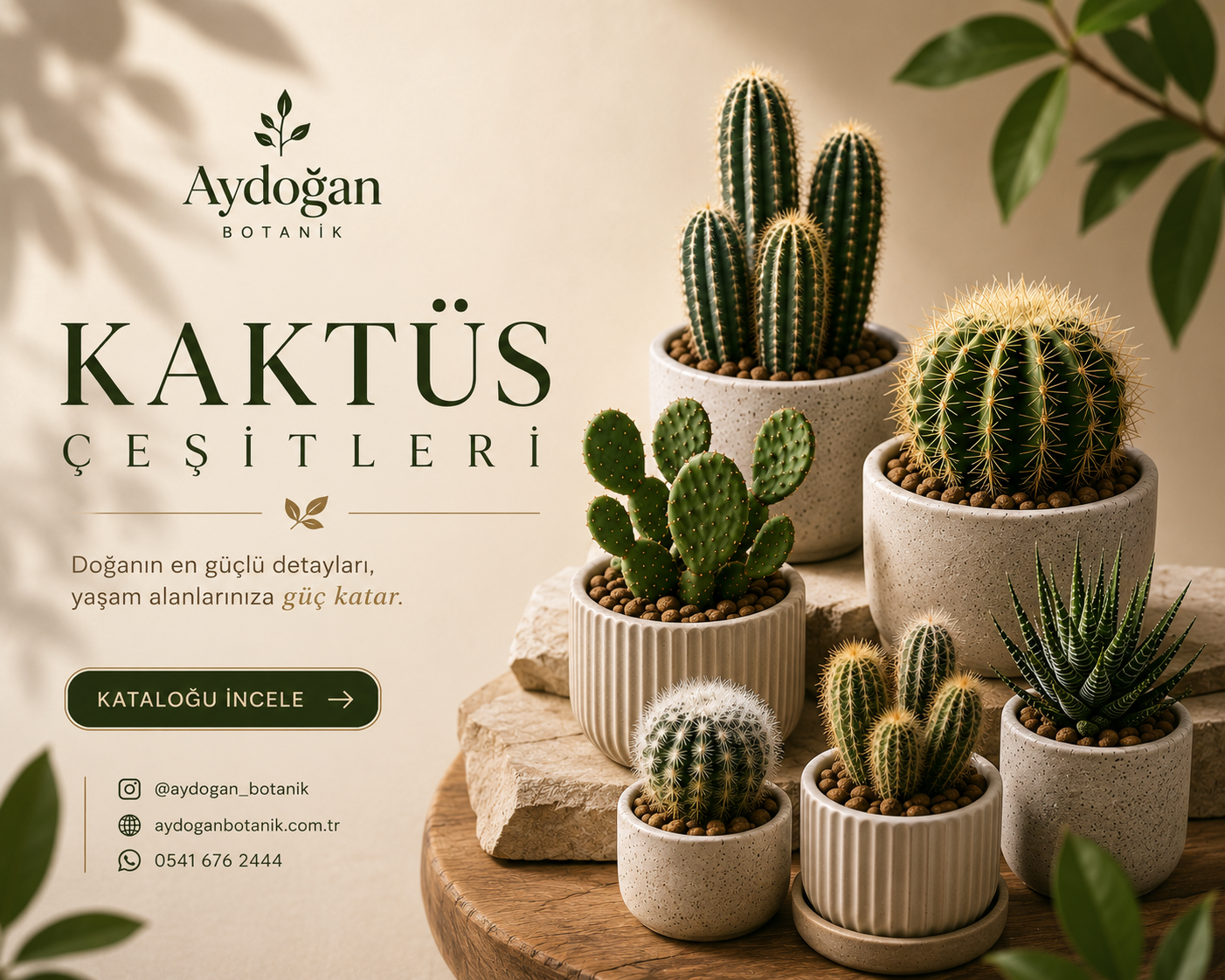 Kaktüs