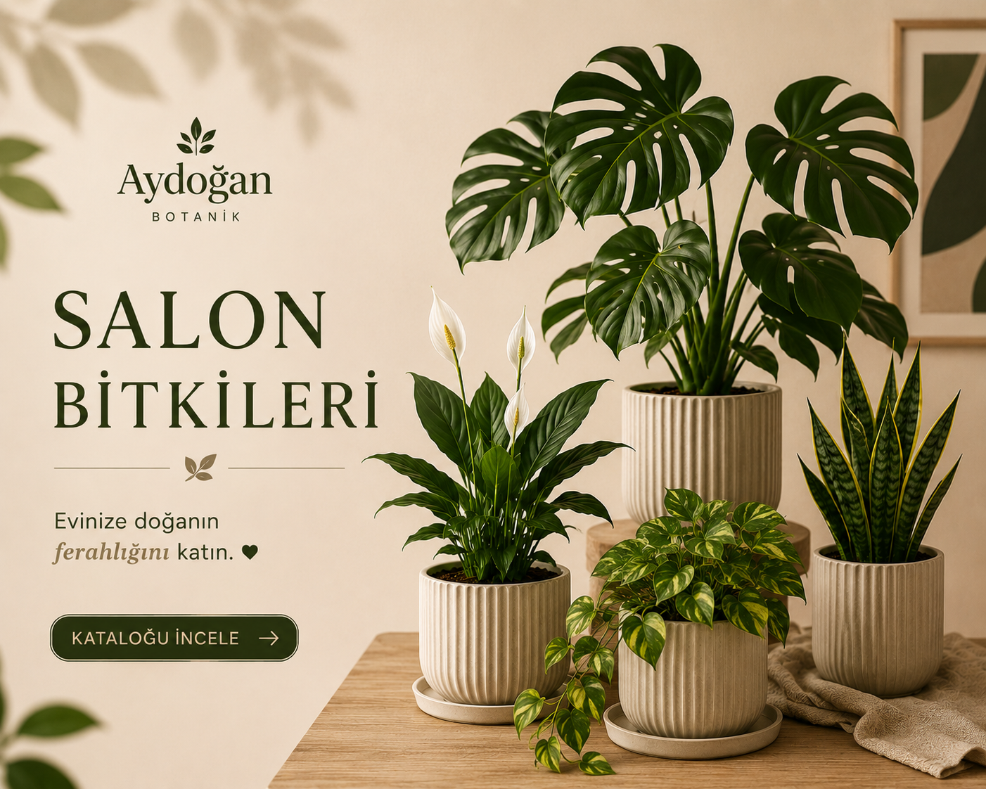 Salon Bitkileri