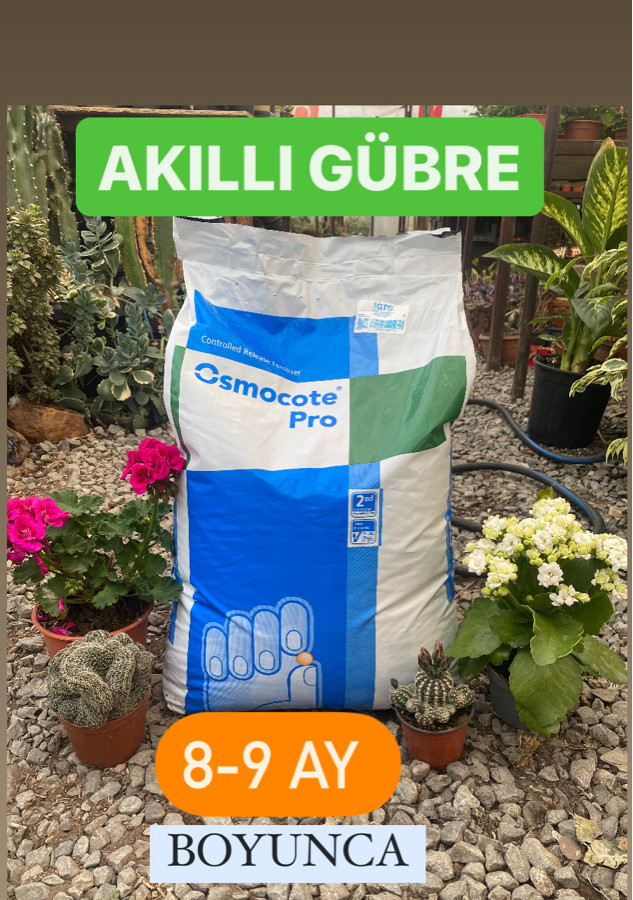 Osmocote Akıllı Gübre 8-9 Aylık 50gr