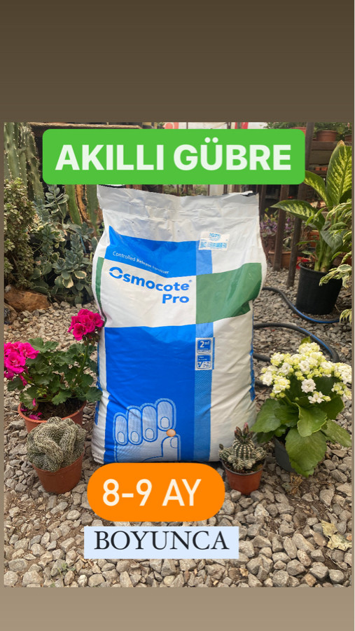 Osmocote Akıllı Gübre 8-9 Aylık 50gr
