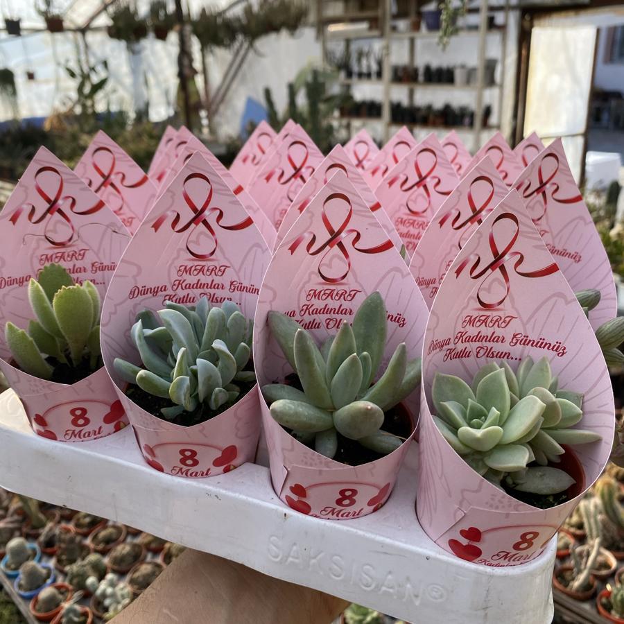 Kadınlar Günü Hediye Seti