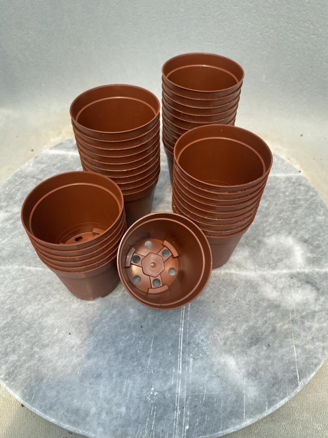 5,5cm üretim saksısı 10adet