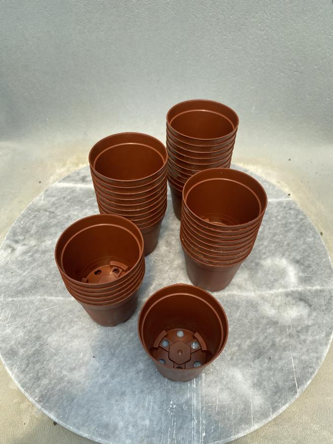 5,5cm üretim saksısı 10adet