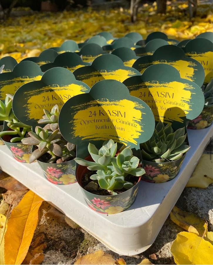 24 Kasım Öğretmenler Günü Seti (20adet)