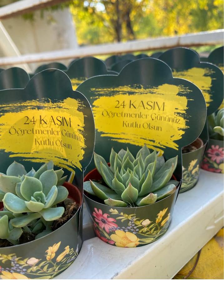 24 Kasım Öğretmenler Günü Seti (20adet)