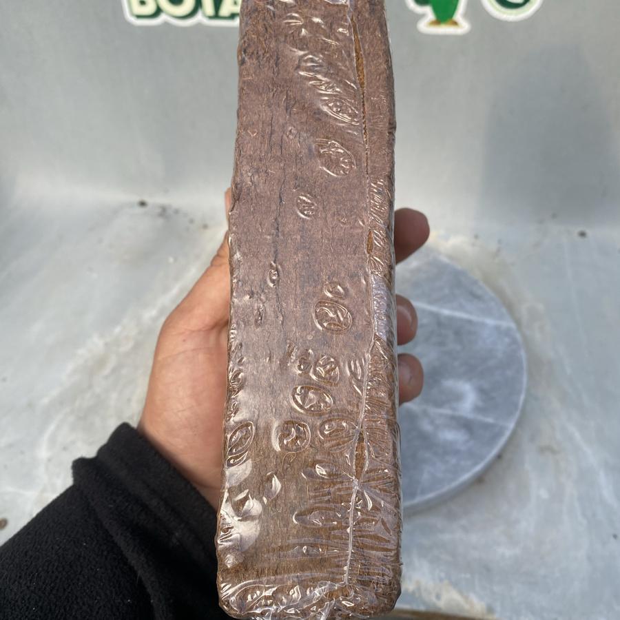 Cocopeat Blok 10Litre