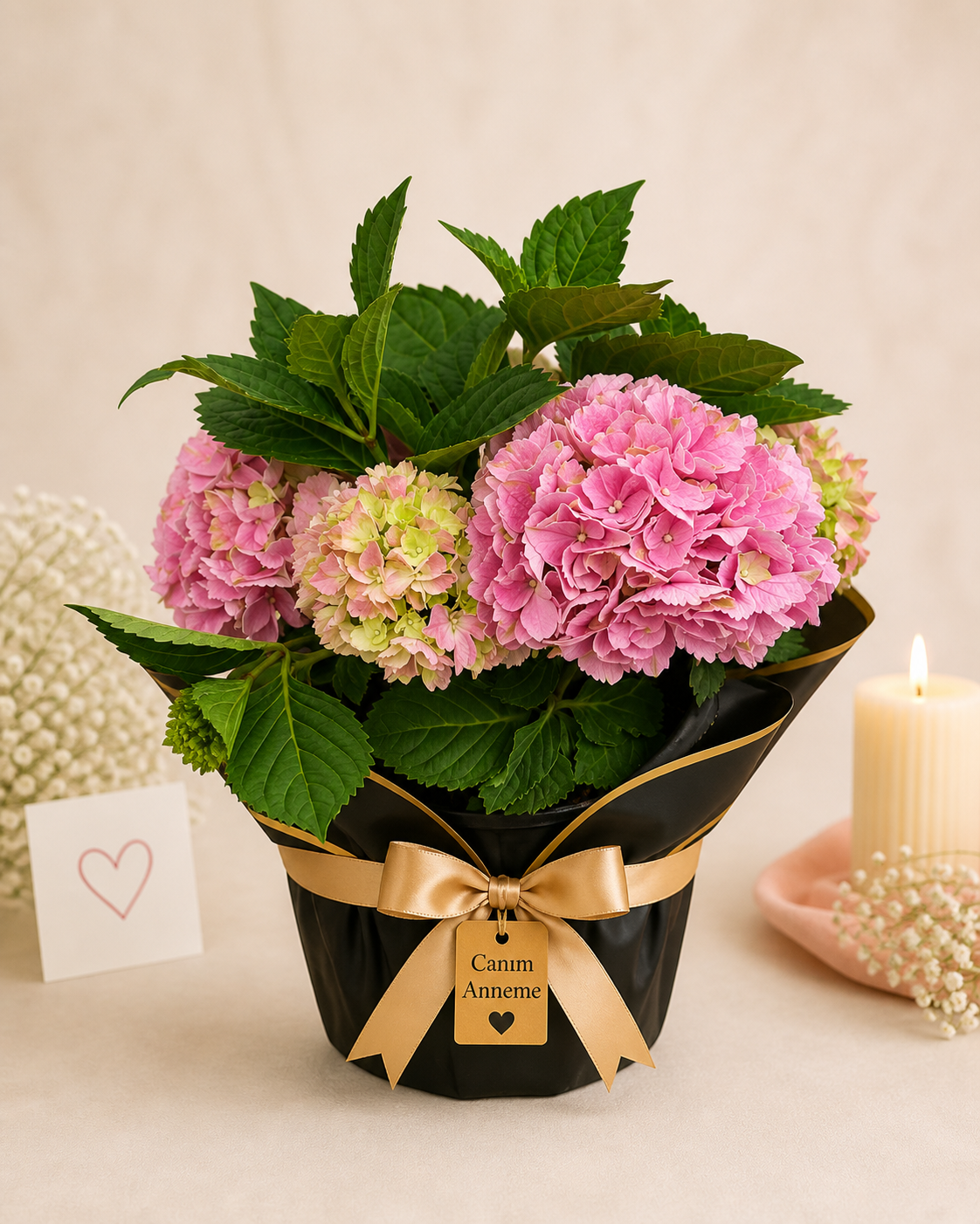 Ortanca (Hydrangea)
